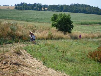 Image.ashx﹖id_org=13670&id_obrazky=1227&datum=1ꤷ7ꤷ2016+3﹕14﹕38+PM