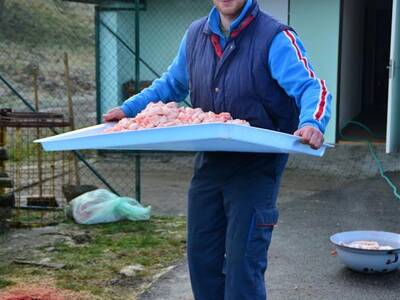 Image.ashx﹖id_org=13670&id_obrazky=1310&datum=1ꤷ24ꤷ2016+8﹕40﹕24+PM