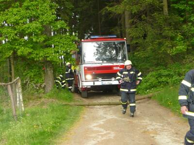 Image.ashx﹖id_org=13670&id_obrazky=1616&datum=4ꤷ18ꤷ2016+5﹕43﹕15+PM