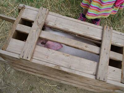 Image.ashx﹖id_org=13670&id_obrazky=2231&datum=6ꤷ21ꤷ2016+5﹕26﹕51+PM