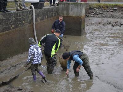 Image.ashx﹖id_org=13670&id_obrazky=2667&datum=11ꤷ30ꤷ2016+7﹕31﹕47+PM