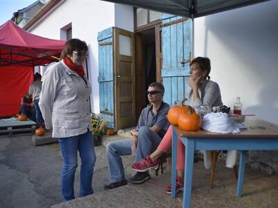 Image.ashx﹖id_org=13670&id_obrazky=5169&datum=1ꤷ16ꤷ2019+3﹕53﹕21+PM