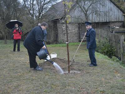 Image.ashx﹖id_org=13670&id_obrazky=5228&datum=1ꤷ16ꤷ2019+3﹕59﹕20+PM